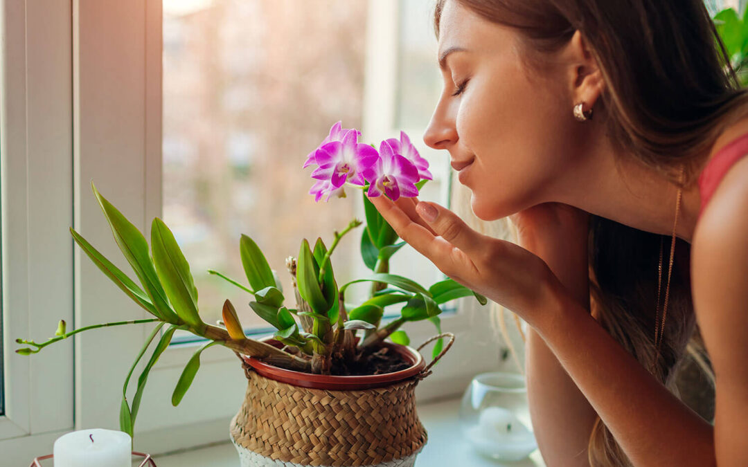 Olfatometria: para que serve e quando é indicado o teste do olfato