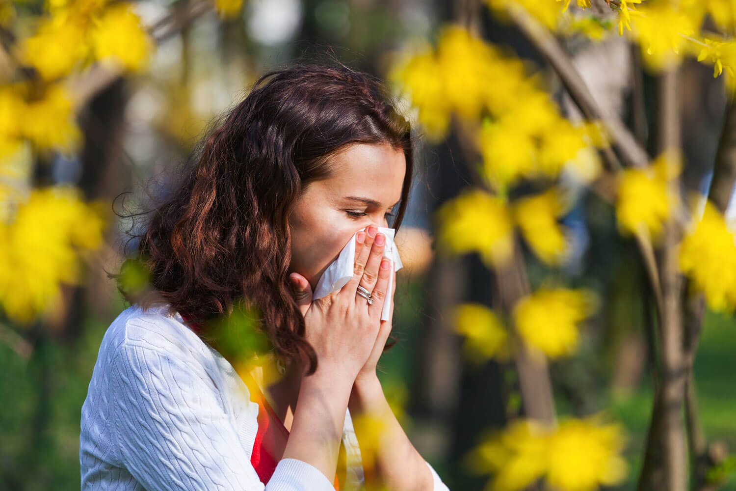 alergias respiratorias na primavera